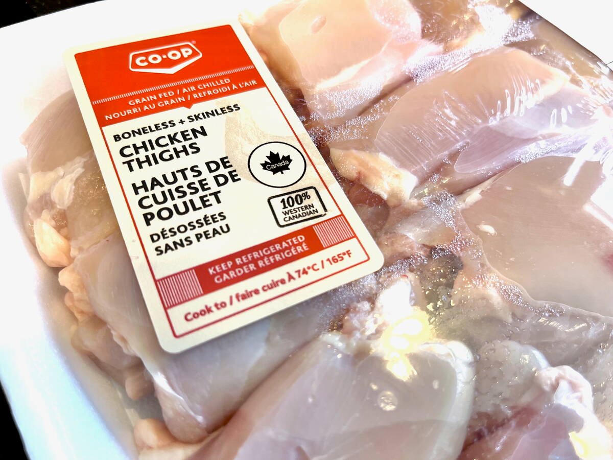 Is supply management shielding Canada’s poultry and egg farmers from bird flu?