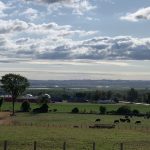 Agriculture must be part of interprovincial trade barrier discussions: OFA Viewpoint