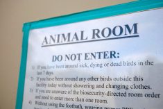 A view shows a sign with bird flu protocols on the door of a poultry house at the University of California, Davis, March 6, 2025.  Photo: Reuters/Fred Greaves/File