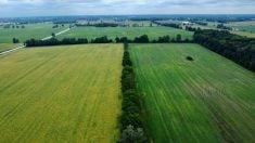 Land trusts empower landowners while preserving farmland
