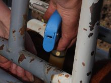 A New Zealandd biotech startup is promising a vaccine that could dramatically reduce methane emissions from livestock. PHOTO: FILE