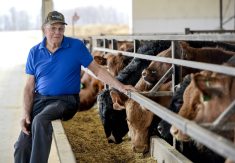 Walkerton: A lesson in crisis management