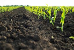 Industry wrestles with regenerative certification