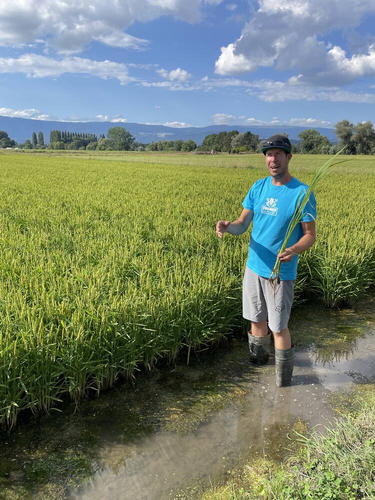 Exploring the possibilities from warming temperatures
