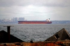 A vessel is seen arriving at Odesa in southern Ukraine under the Black Sea Grain Initiative on April 12, 2023. (Photo: Yulii Zozulia/Nurphoto via Reuters Connect)