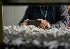 Farm and Food Care Ontario gets $597,000 in program funding