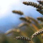 Photo: iStock