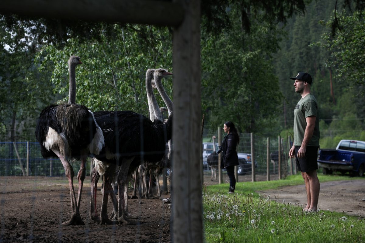 Supporters of Universal Ostrich Farms stand near ostriches at the farm’s property in Edgewood, B.C., on Saturday, May 17, 2025. Photo: Aaron Hemens/The Canadian Press via ZUMA Press
