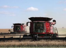 A survey conducted last year by the Canadian Centre for Food Integrity found that only three in 10 Canadians believe the food system is on the right track. Photo: File
