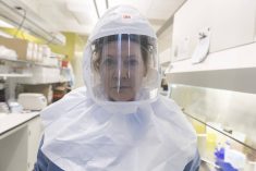 Should Canadian farmers be vaccinating poultry against bird flu?