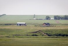 Grey skies over the Alberta landscape, July 2023. (Geralyn Wichers photo)