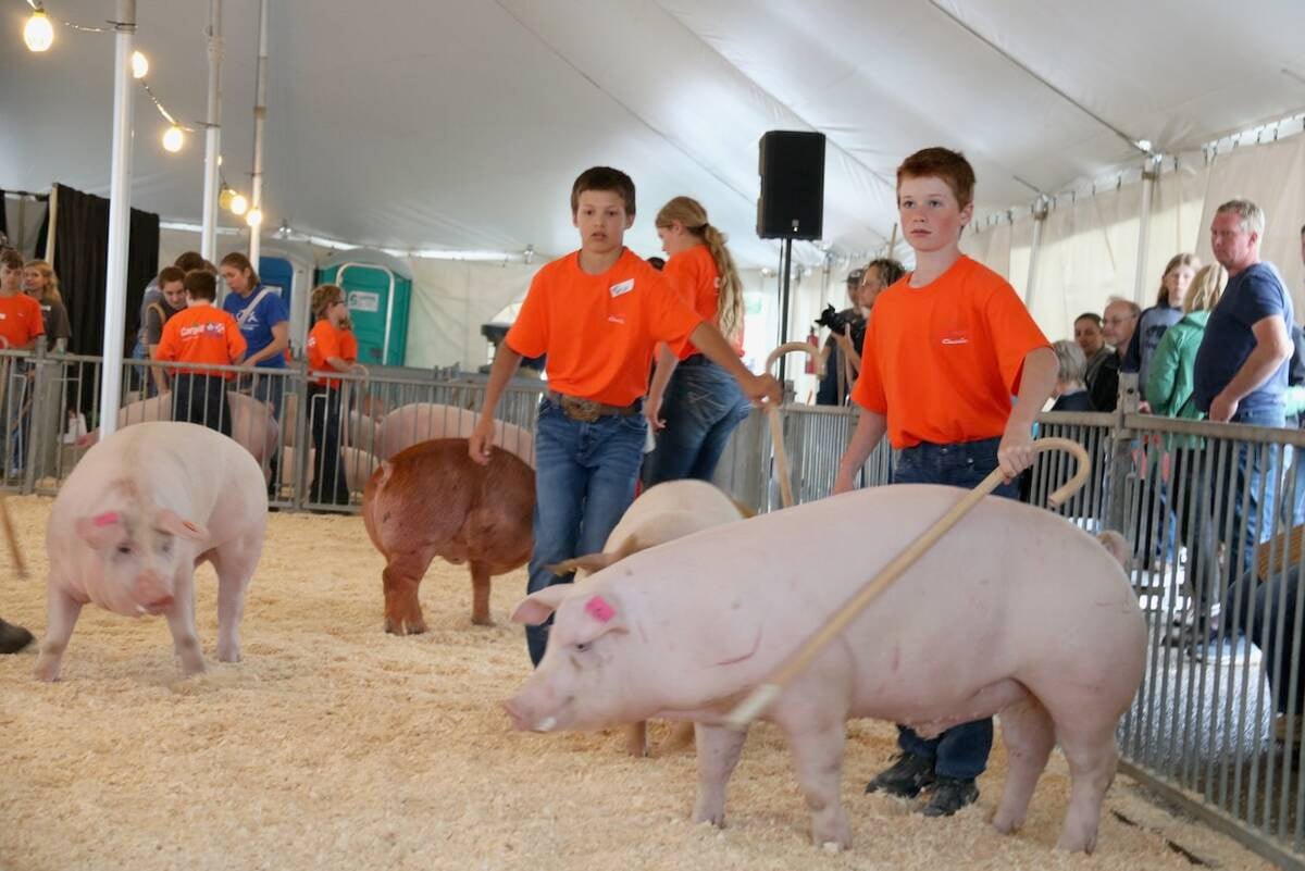 Baconmaker Classic bring young people to the Pork Congress