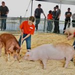 Baconmaker Classic brings young people to the Pork Congress