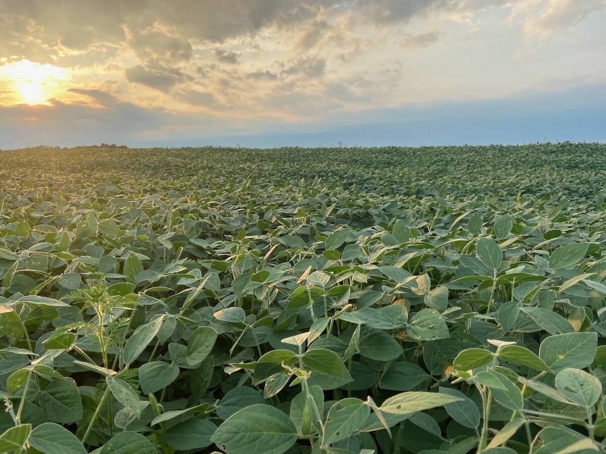 Canada has a reputation as a trusted, reliable supplier of soybeans