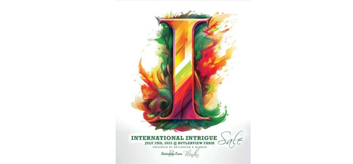 The 2025 International Intrigue dairy cattle sale grossed a total of $4.3 million. Photo: Sale program cover screen capture