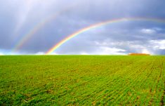 Photo: Thinkstock