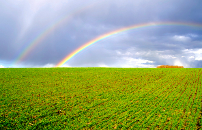 Photo: Thinkstock
