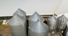BinSentry feed bin monitoring sensors installed on bins. Photo: BinSentry
