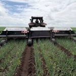 The ecorobotix ARA smart sprayer garnered plenty of attention during its onion demo at Smith Gardens as part of the AgRobotics Demo Day tour in the Holland Marsh, July 8, 2025. Photo:Diana Martin