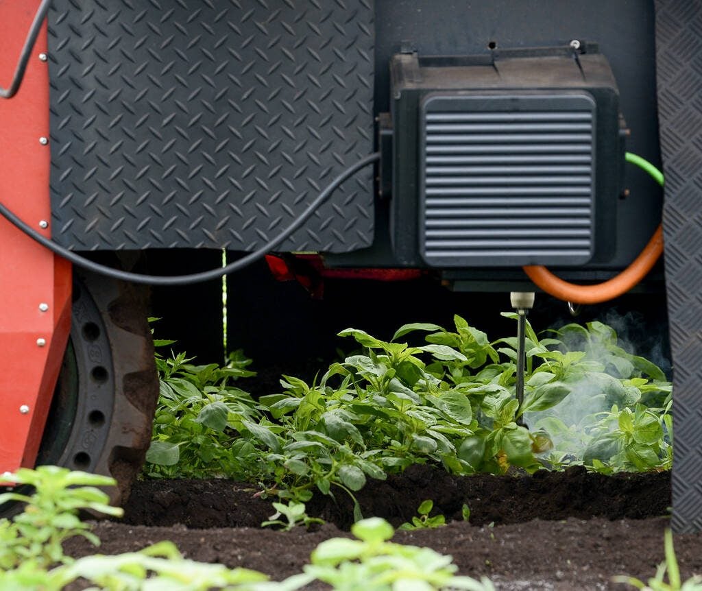 The BHF ElectricWeeder's robotic arms navigate a crop, selectively killing weeds with high-voltage electricity. The machine uses AI learning to improve its accuracy. Photo:Diana Martin