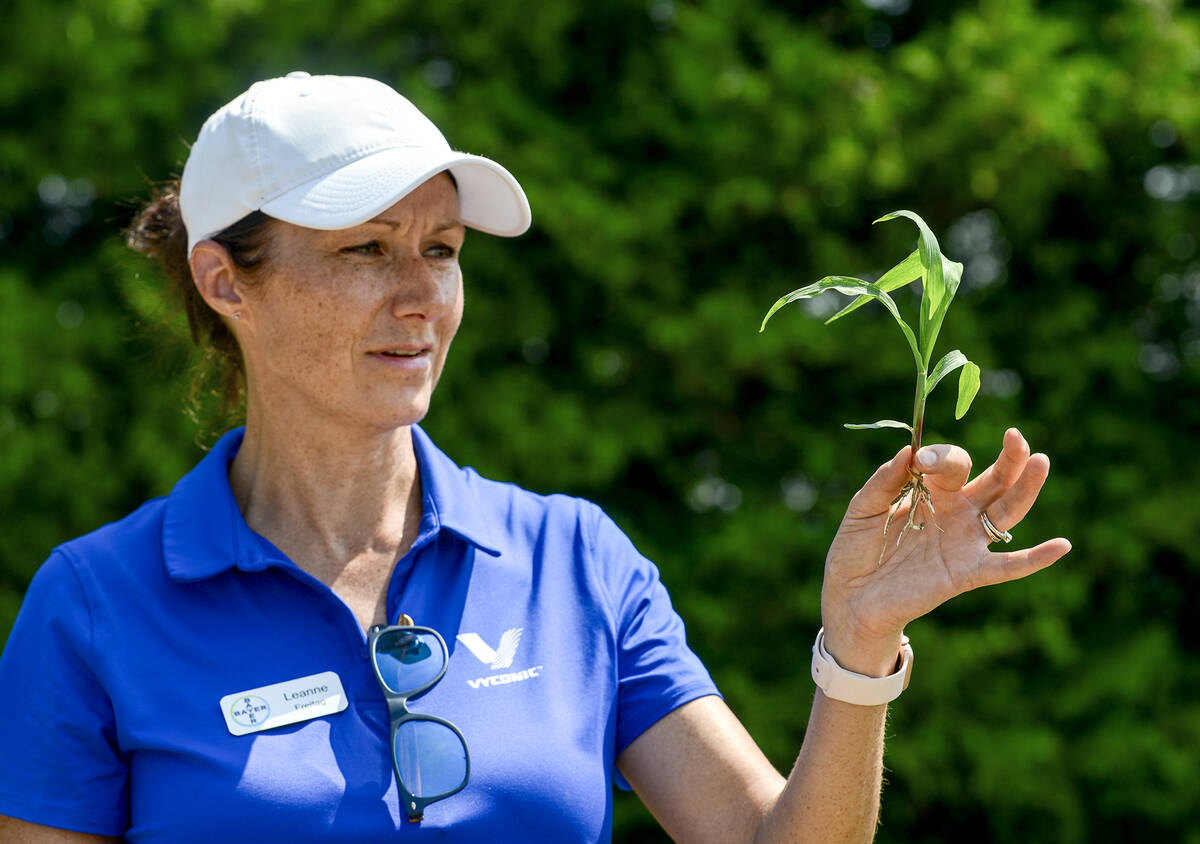 Leanne Freitag, Bayer Crop Science agronomic solutions advisor, holds a corn plant sample to help producers understand how to stage correctly during the herbicide injury scenario discussion at the Ontario Weed Tour at the Elora Research Station on July 16, 2025. Photo: Diana Martin