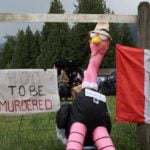May 17, 2025, Edgewood, Bc, CANADA: Supporters set up camp at the Universal Ostrich Farms property in Edgewood, B.C., on Saturday, May 17, 2024. Hundreds of supporters flocked to the farm over the Victoria long weekend to protest the Canadian Food Inspection AgencyâÃôs order to cull 400 ostriches. Photo: Aaron Hemens/The Canadian Press via ZUMA Press