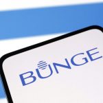 FILE PHOTO: Bunge Ltd logo is seen displayed in this illustration taken, April 10, 2023. REUTERS/Dado Ruvic/Illustration/File Photo