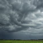 Photo: SusanneSchulz/iStock/Getty Images