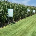 Alpine's corn plot at Canada's Outdoor Farm Show.