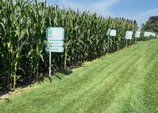 Alpine's corn plot at Canada's Outdoor Farm Show.