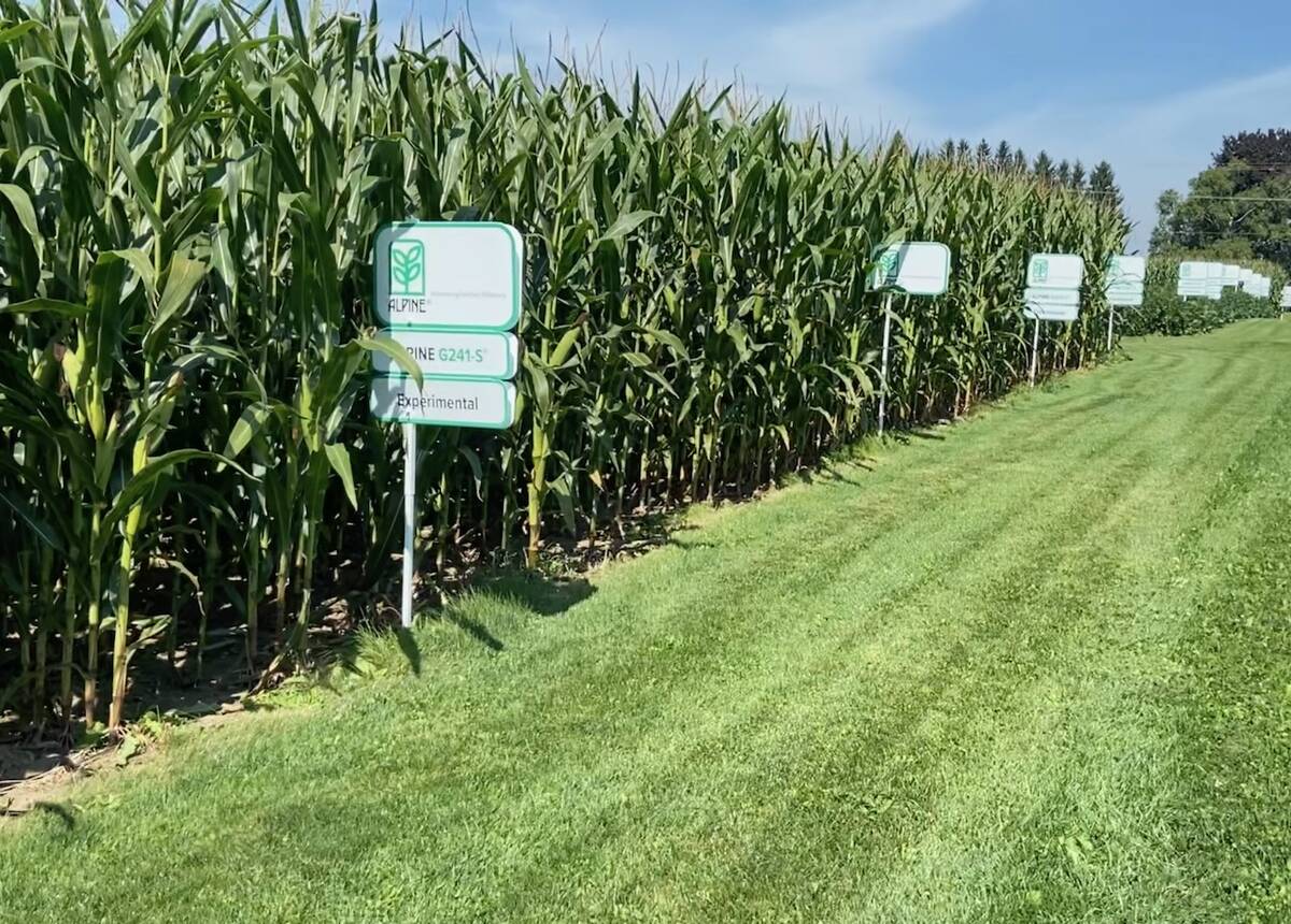 Alpine's corn plot at Canada's Outdoor Farm Show.