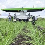 FarmDroid FD20 provides horticultural seeding and weeding and drew plenty of interest at the onion trial tour stop at Smith Farms during the AgRobotics July 4, 2024 demo day in Bradford and Holland Marsh. Photo: Diana Martin