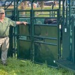 Cattle handling at Canada's Outdoor Farm Show.