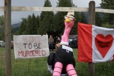 May 17, 2025, Edgewood, Bc, CANADA: Supporters set up camp at the Universal Ostrich Farms property in Edgewood, B.C., on Saturday, May 17, 2024. Hundreds of supporters flocked to the farm over the Victoria long weekend to protest the Canadian Food Inspection AgencyâÃôs order to cull 400 ostriches. Photo: Aaron Hemens/The Canadian Press via ZUMA Press