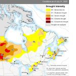 Drought conditions continue to plague much of Southern and Eastern Ontario with farmers facing potential yield and financial losses.