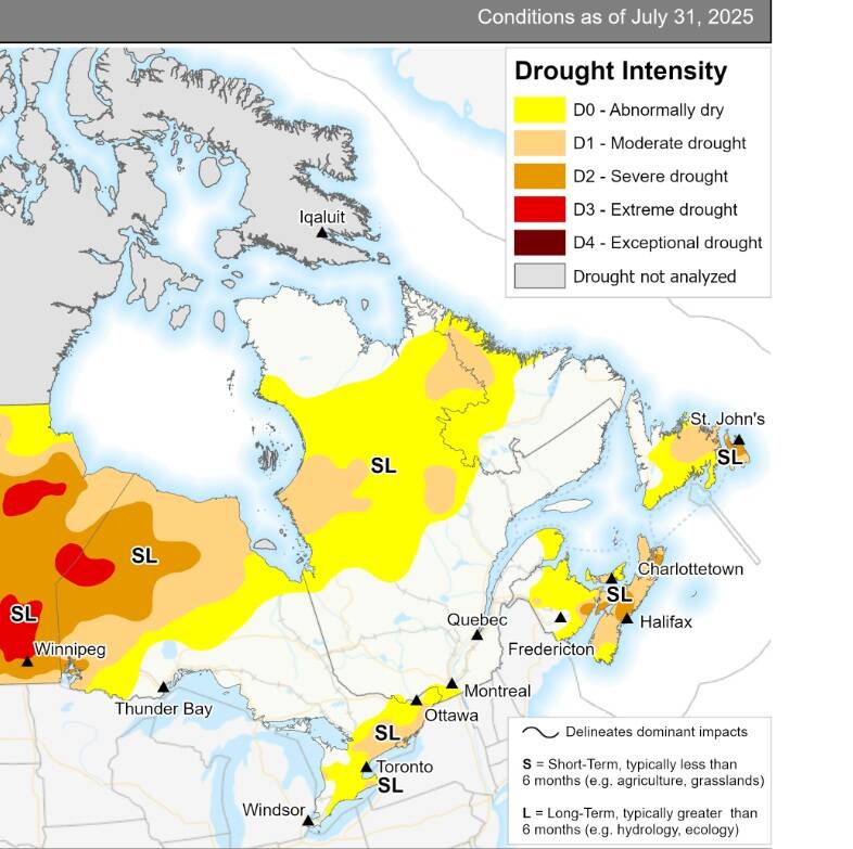 Drought conditions continue to plague much of Southern and Eastern Ontario with farmers facing potential yield and financial losses.