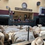 Auction at Ontario Stockyards in Cookstown.