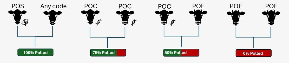 Probability of polled progeny from various mating combinations. Source: Lactanet