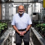 Leon Kochian, Canada Excellence Research Chair in Global Food Security at the University of Saskatchewan received a fellowship from the Royals Society of Canada. Kochian has spent four decade studying root architecture. Photo: Erin Matthews/University of Saskatchewan