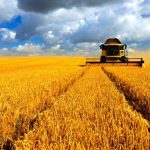 The harvest in Saskatchewan advanced 13 points for the week ended Sept. 16, at 74 per cent complete, despite rain in some parts of the province. Photo: Thinkstock