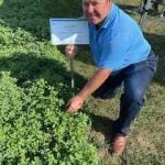 Scott Fisher, western Ontario sales manager at DLF shows off some of the alfalfa test plots at Canada's Outdoor Farm Show in Woodstock, Ontario.