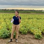 Isabelle Aicklen, assistant professor at the University of Guelph in a white bean test plot at the Huron Research Station. Photo: John Greig