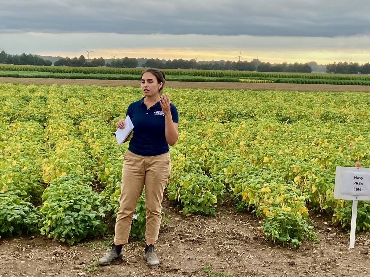 Isabelle Aicklen, assistant professor at the University of Guelph in a white bean test plot at the Huron Research Station. Photo: John Greig