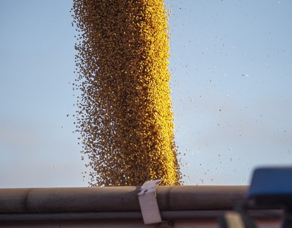 Close-up of soybeans pouring into a grain cart.