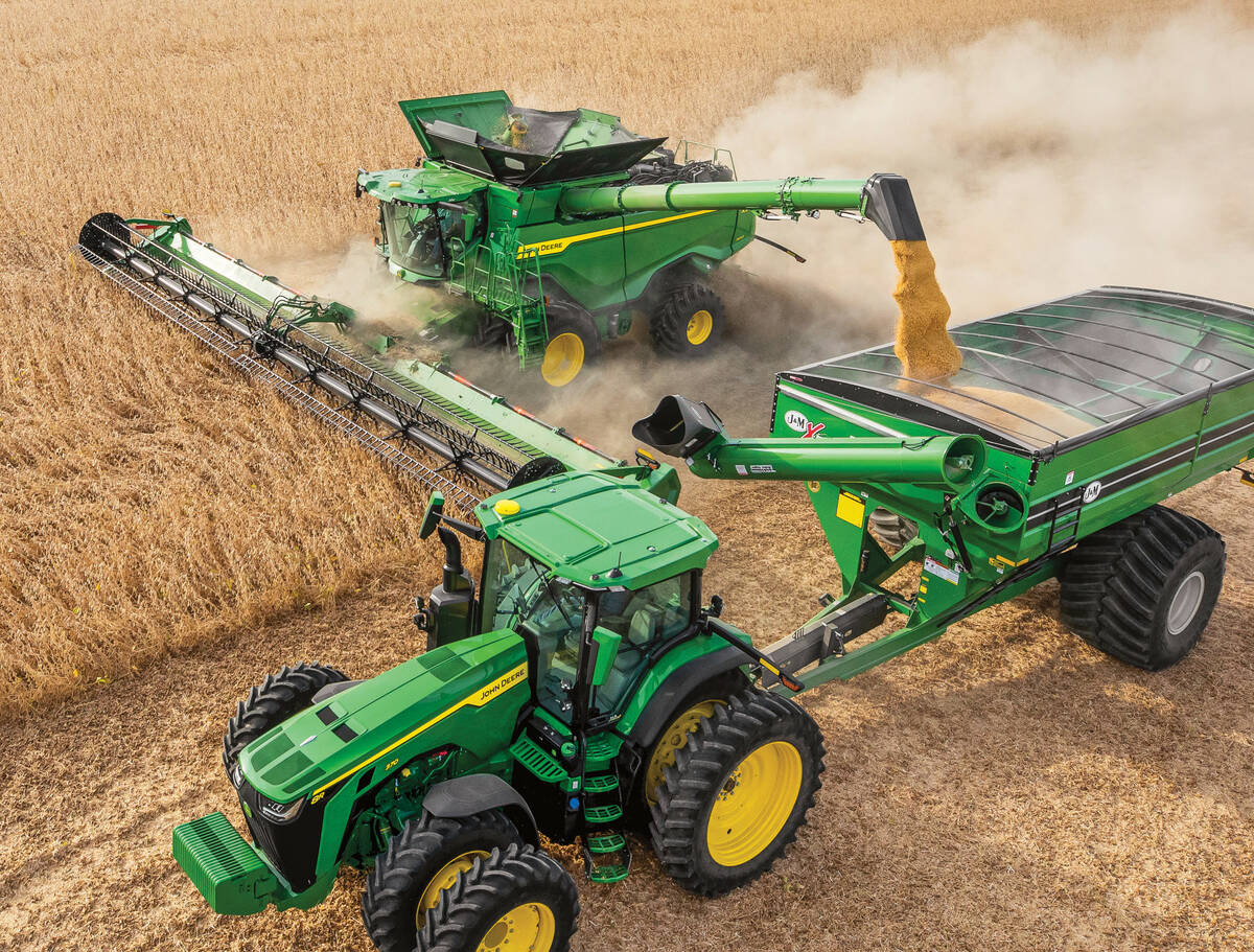 corn harvest