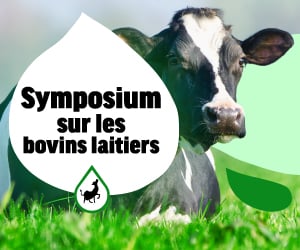 Symposium sur les bovins laitiers 2025 (Dairy Cattle Symposium 2025)