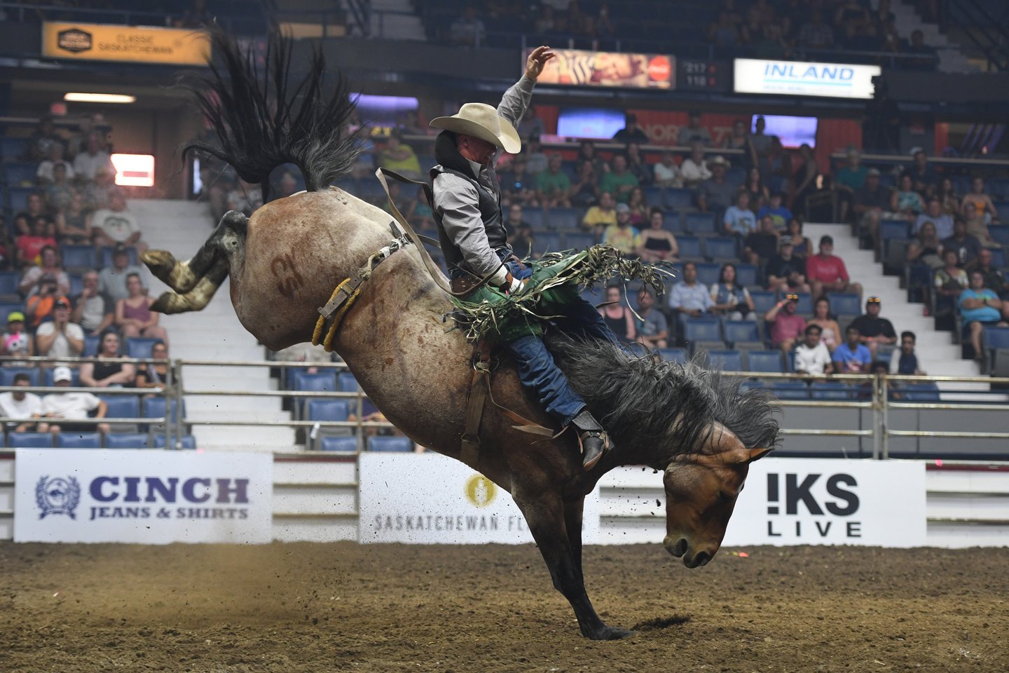 Agribition Rodeo