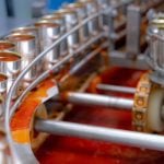 Canned fish factory. Food industry. Sardines in red tomato sauce in tinned cans at food factory. Food processing production line. Food manufacturing industry. Many can of sardines on a conveyor belt.