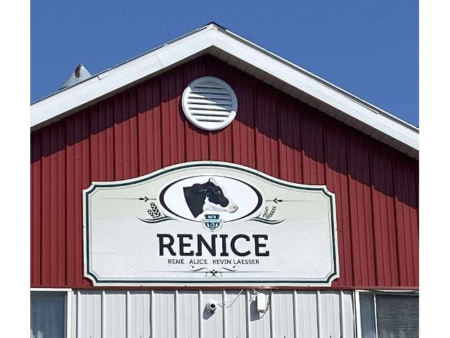 Ferme Renice Herd Sale – René & Kevin Laesser