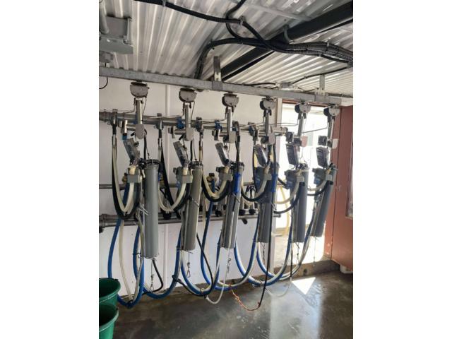 Ferme Renice Herd Sale – René & Kevin Laesser